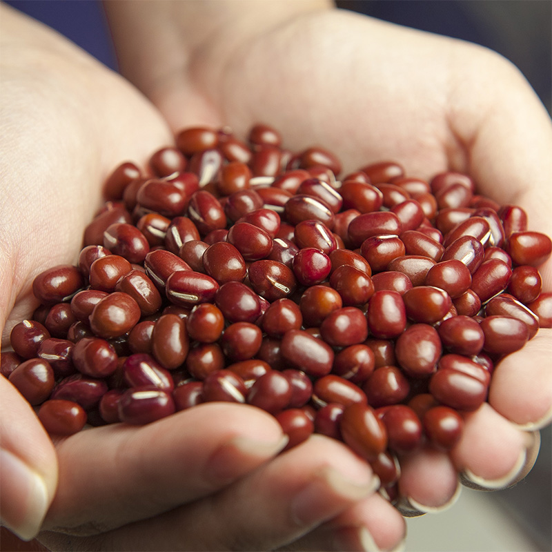 Suitable for Bulk Food Products