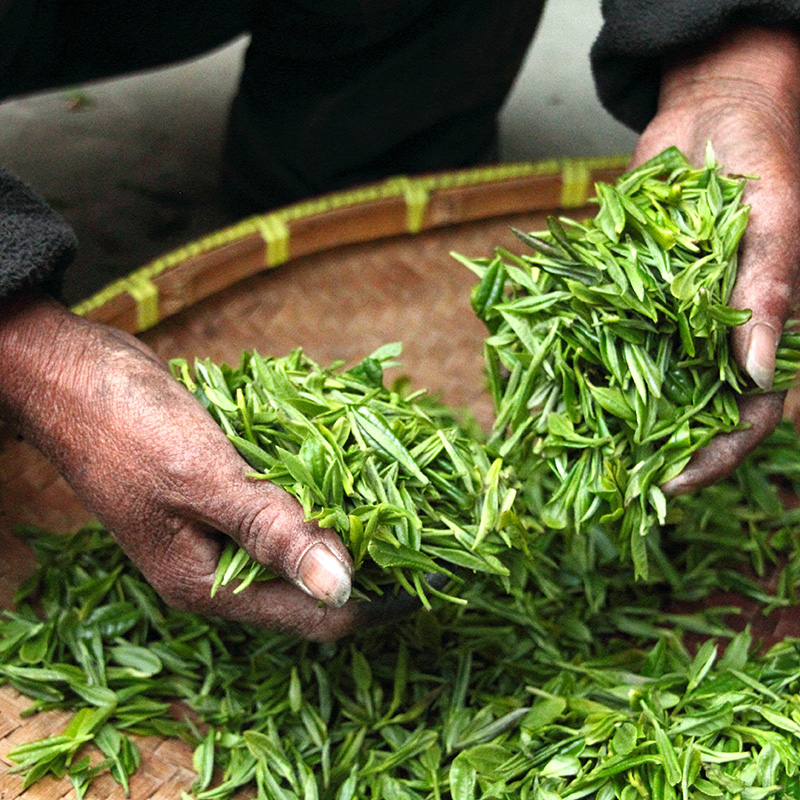 Tea Packaging