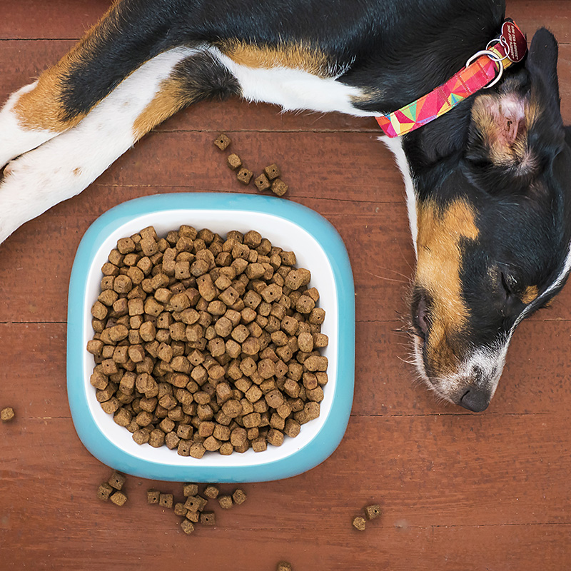 Pet Food